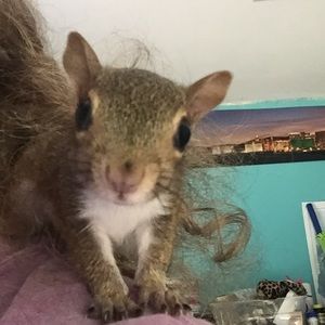 Meet your Posher, Debbie